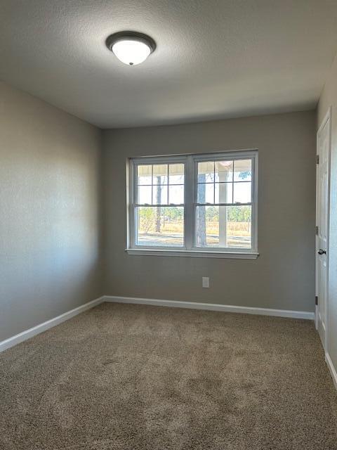 332 Cannon Drive Laurel Hill, FL 32567 - Photo 21 of 36 an empty room with windows