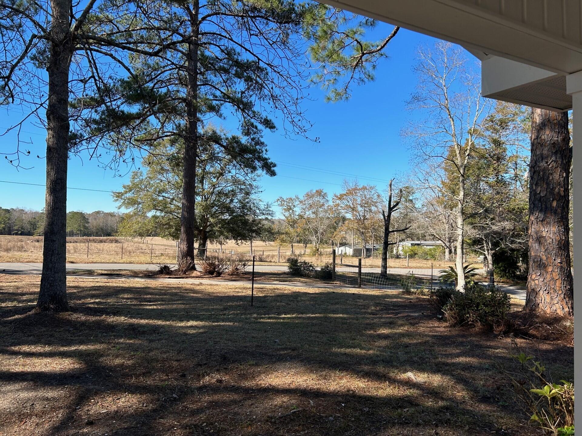 332 Cannon Drive Laurel Hill, FL 32567 - Photo 4 of 36 a street view with large trees