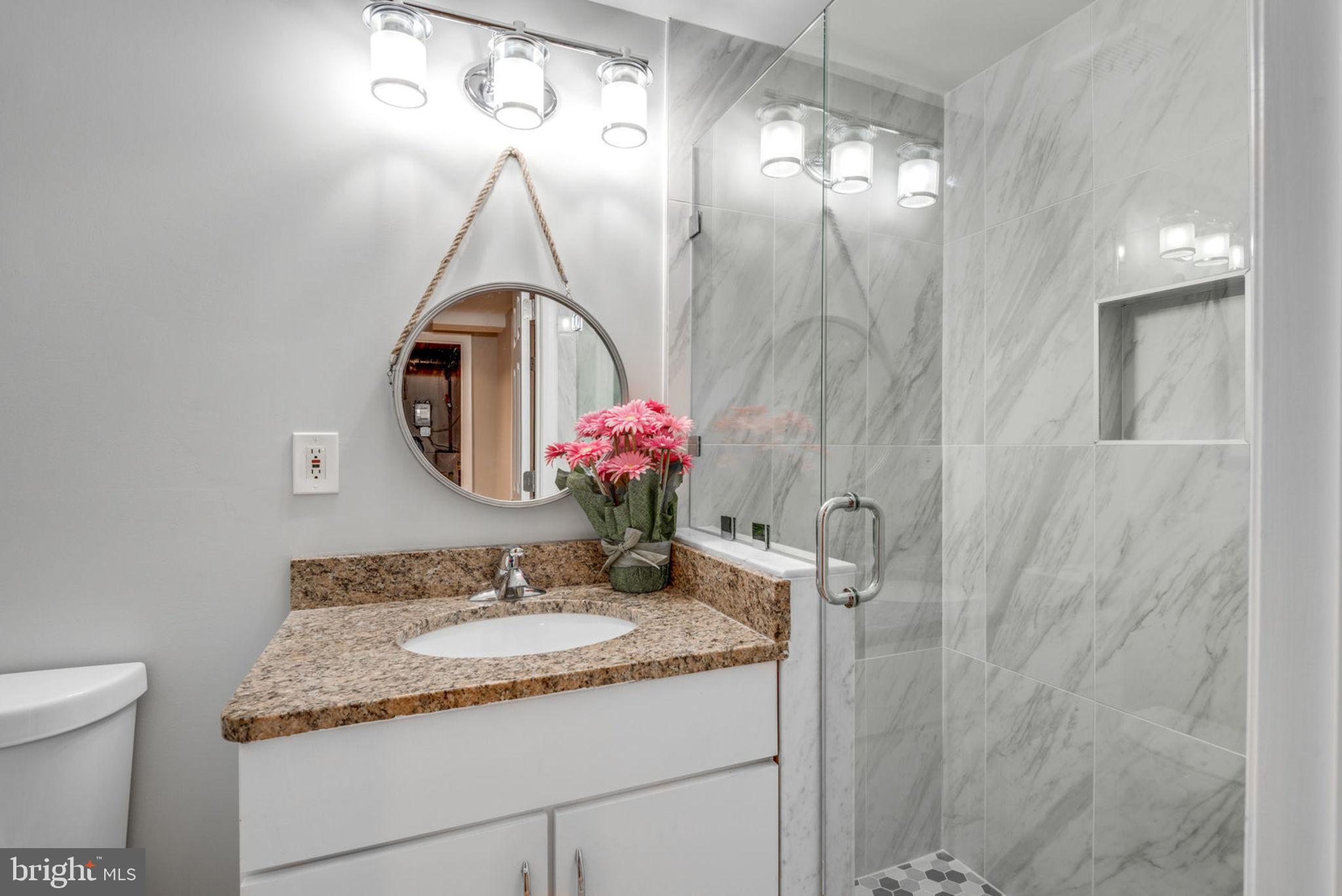 10902 Ambleside Court Reston, VA 20190 - Photo 49 of 79 Basement Full bath
