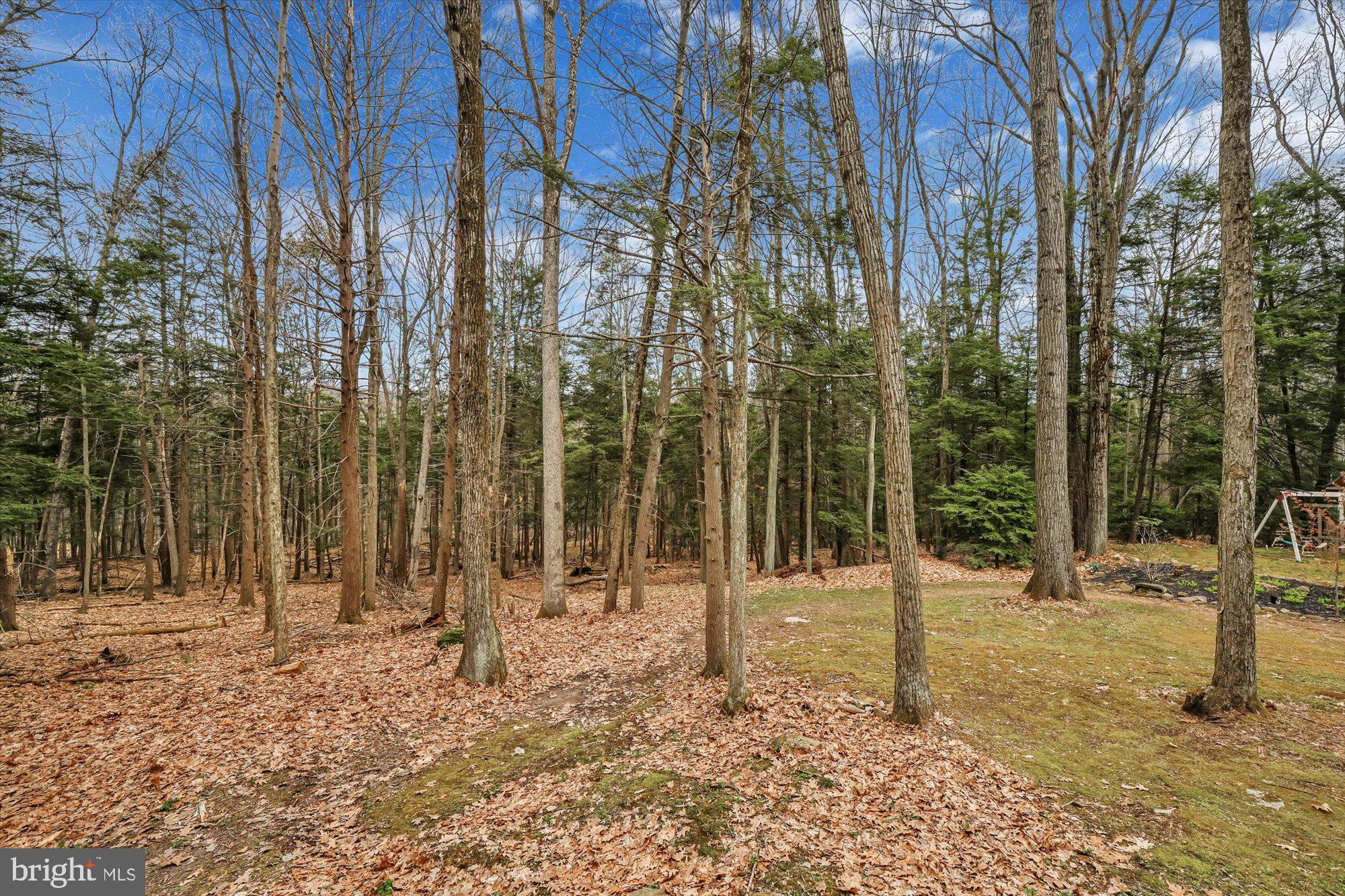 91 Malones Road Ashland, PA 17921 - Photo 26 of 36