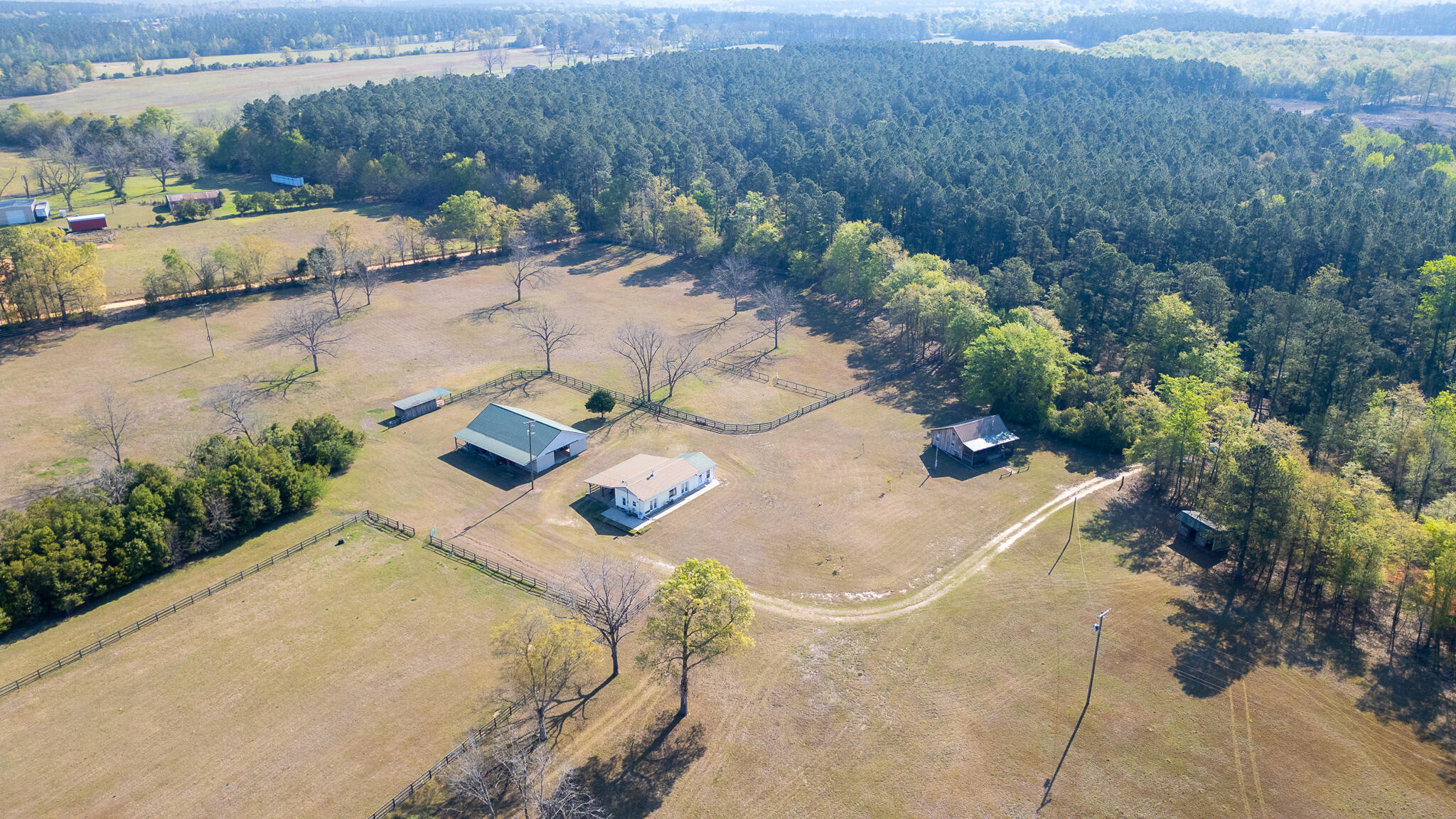 252 Moseley Road Williston, SC 29853 - Photo 2 of 64