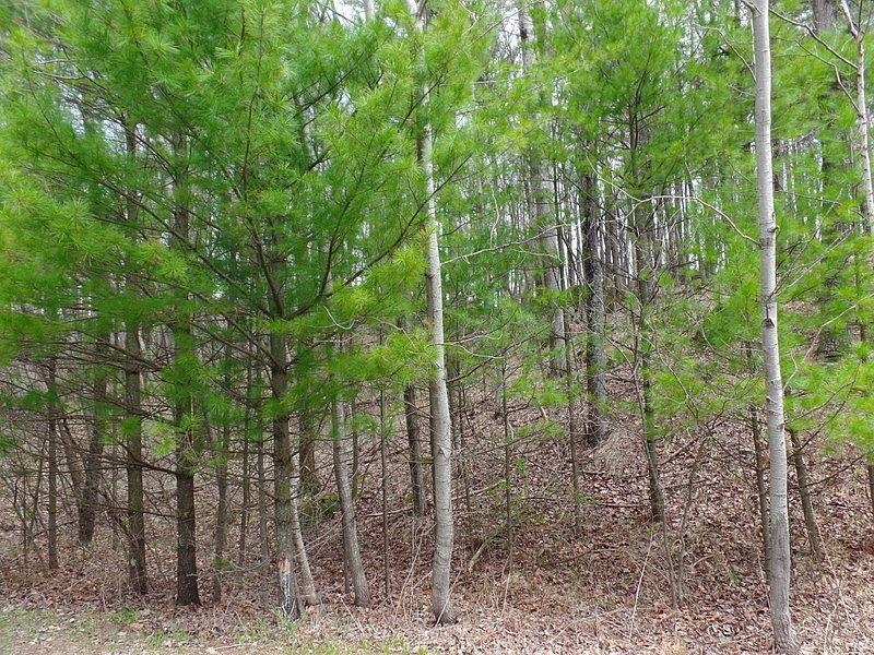 Fairway Drive, Unit 2 Iola, WI 54945 - Photo 2 of 4