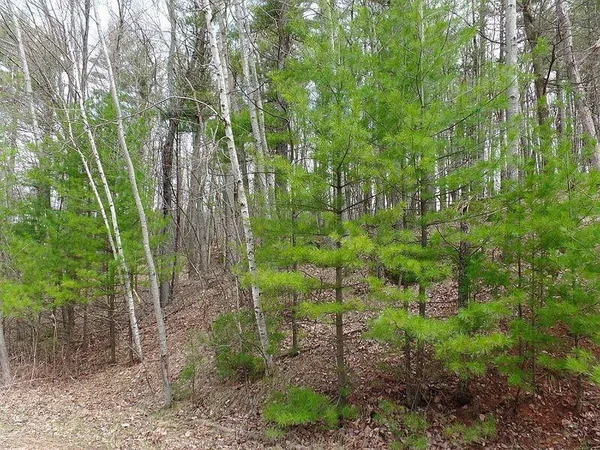 $35,500 | Fairway Drive, Unit 2, Iola, WI 54945