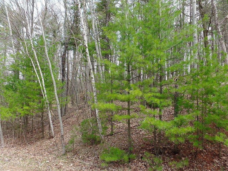 Fairway Drive, Unit 2 Iola, WI 54945 - Photo 3 of 4