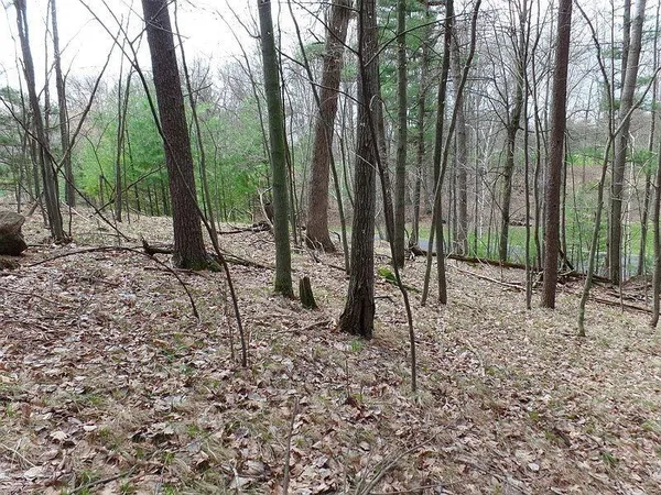 $35,500 | Fairway Drive, Unit 2, Iola, WI 54945