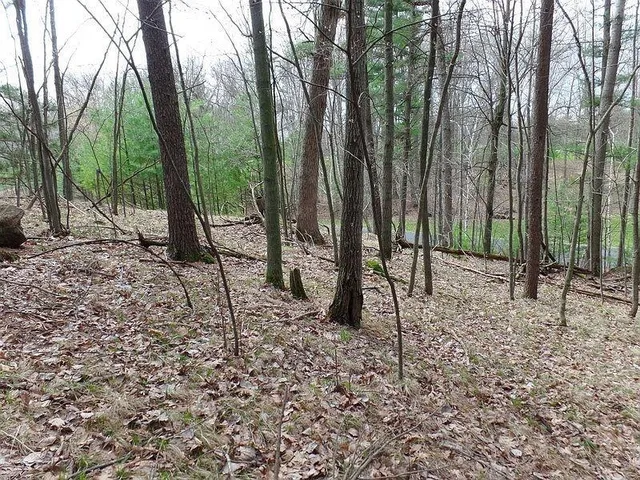 $35,500 | Fairway Drive, Unit 2, Iola, WI 54945