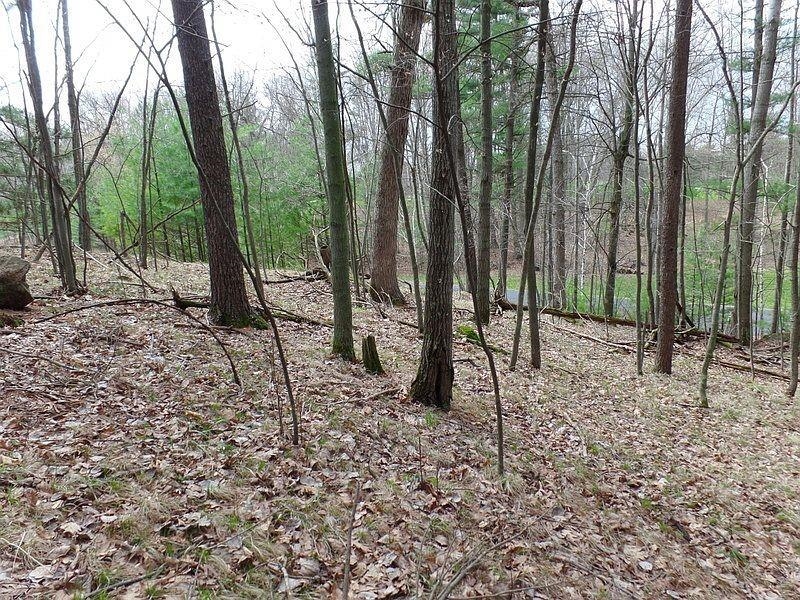 Fairway Drive, Unit 2 Iola, WI 54945 - Photo 4 of 4