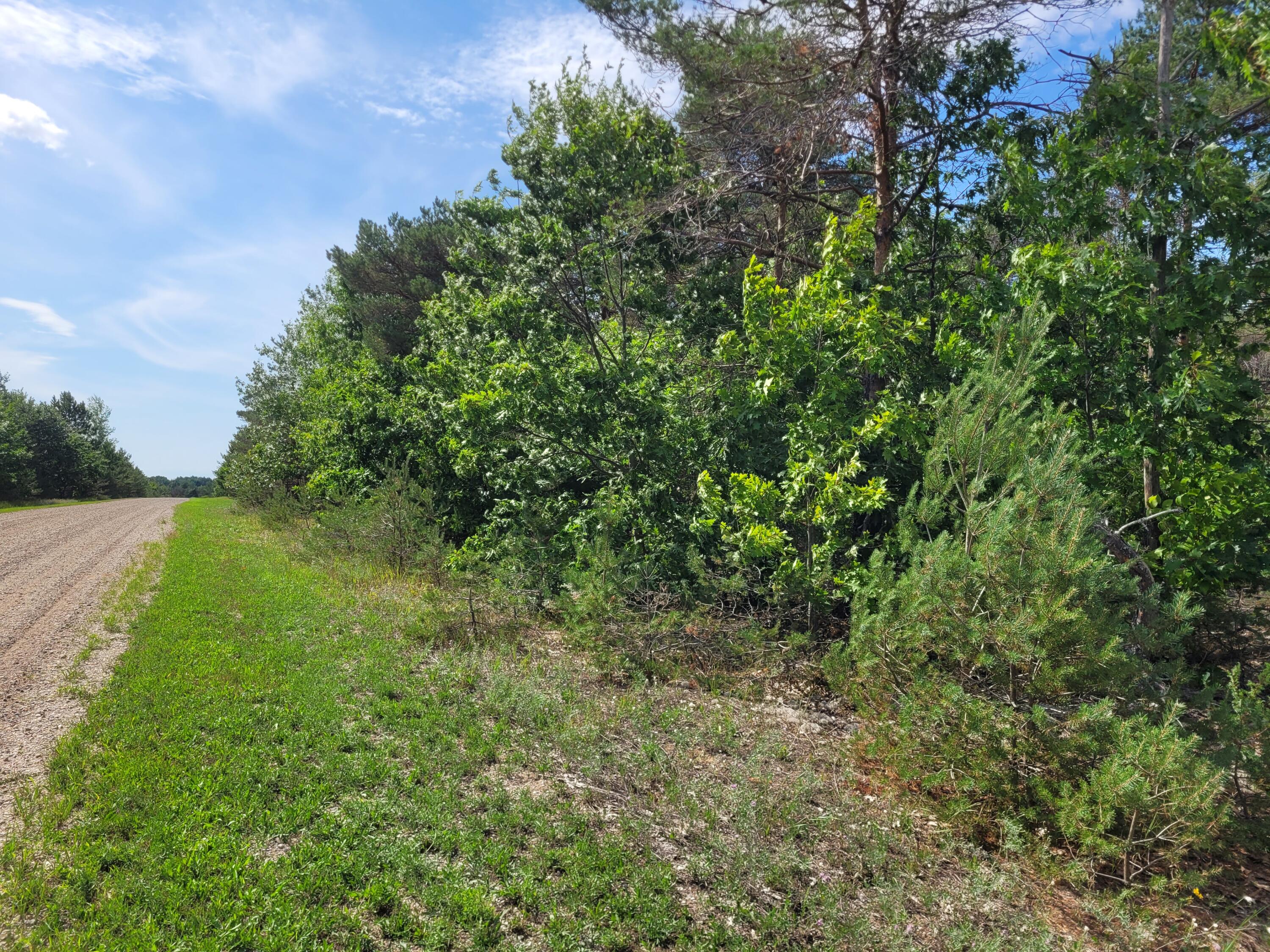 Bonter Court Cheboygan, MI 49721 - Photo 1 of 17 Gallery Image 1