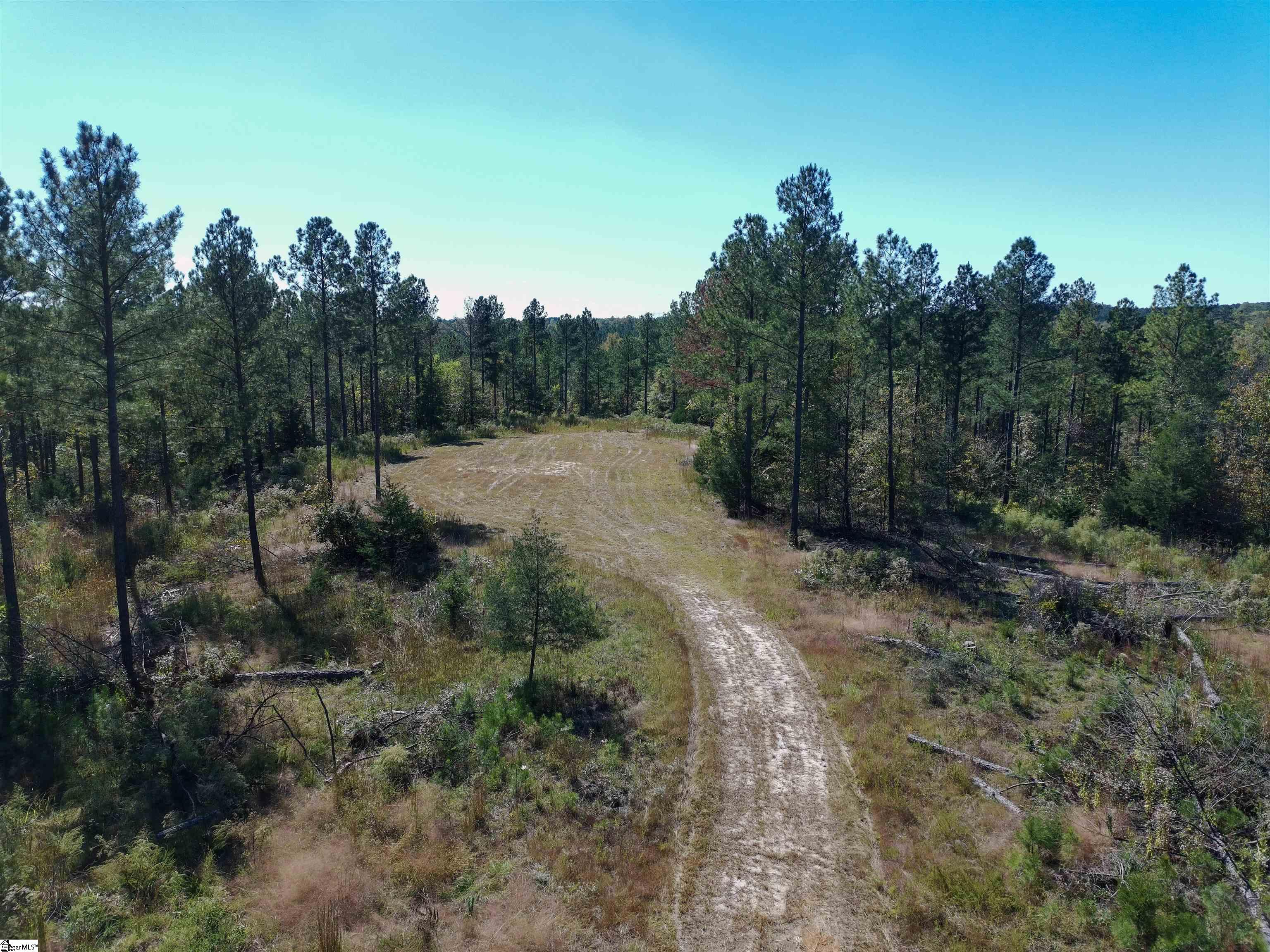 0 Fields Road Pauline, SC 29374 - Photo 1 of 7