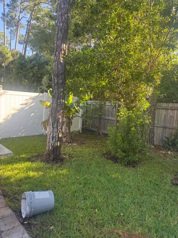 a view of a backyard with large trees