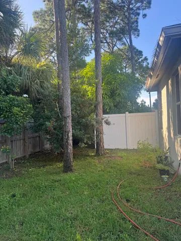 a view of a backyard