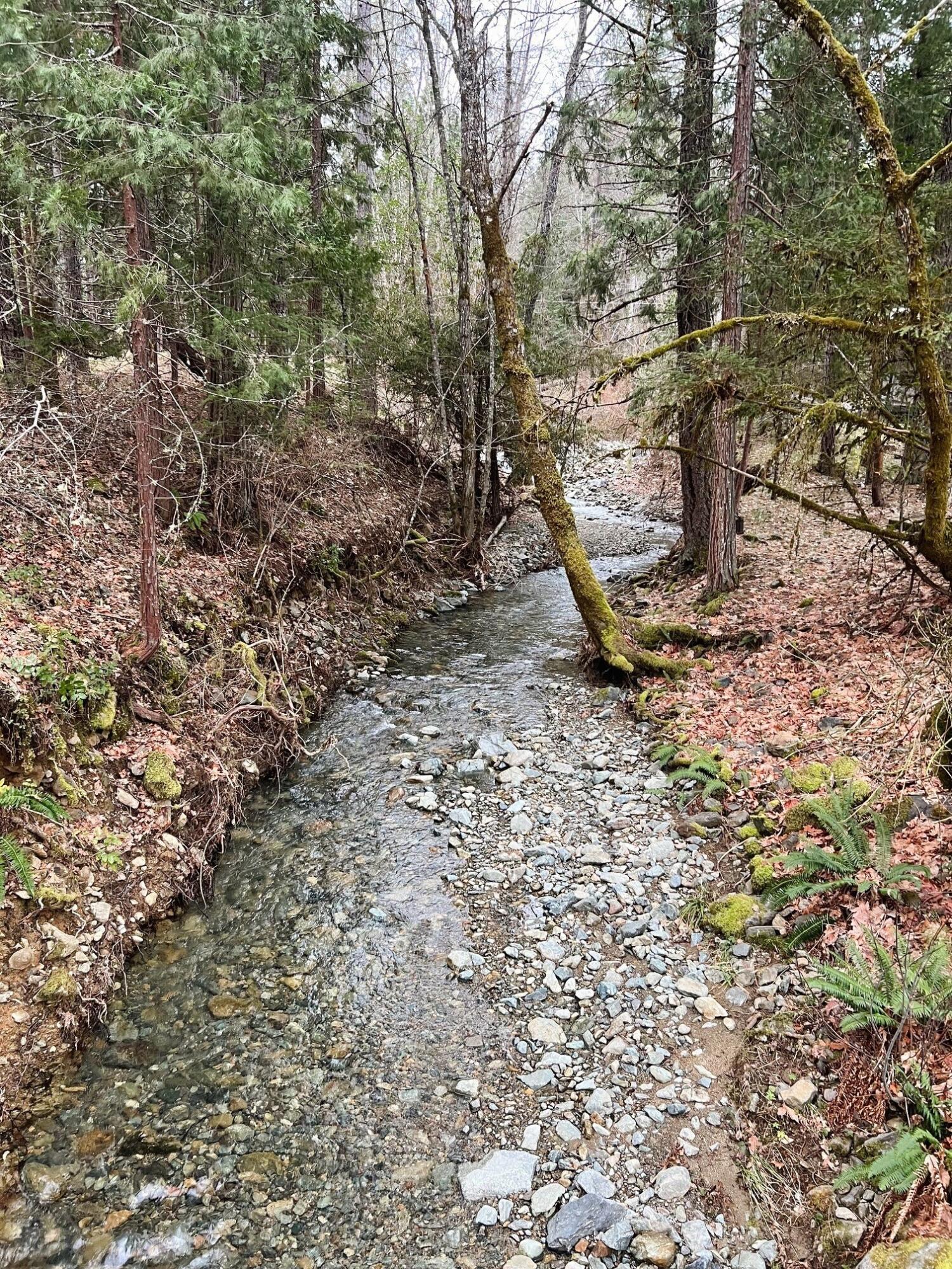 8081 West Evans Creek Road Rogue River, OR 97537 - Photo 50 of 51