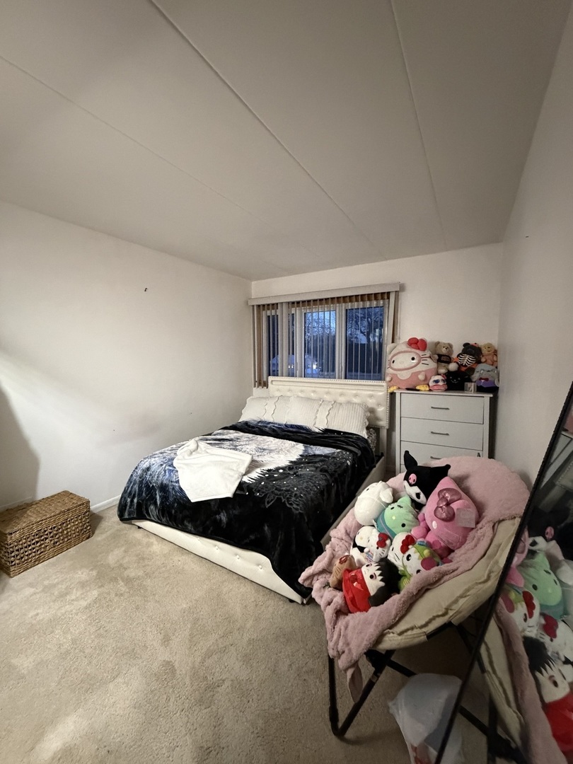 10002 South Pulaski Road, Unit 207 Oak Lawn, IL 60453 - Photo 25 of 33