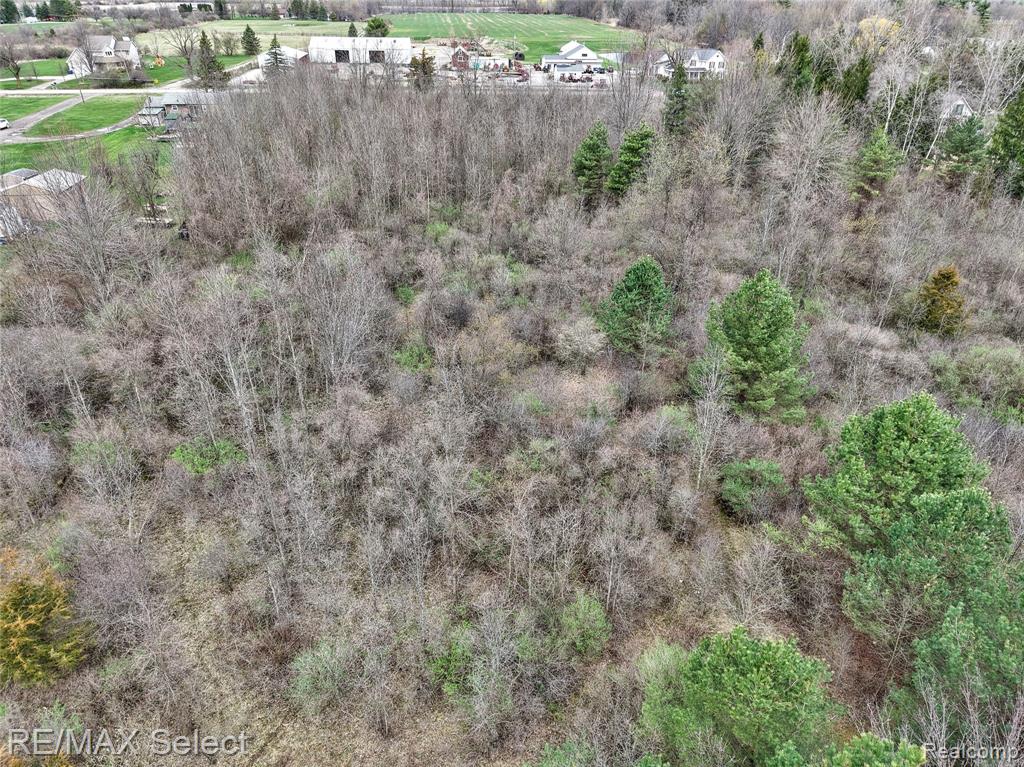 0 West Ray Road Grand Blanc, MI 48439 - Photo 9 of 11