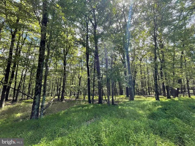 a view of park space