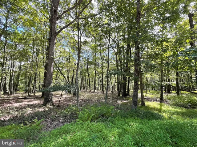 a view of park space