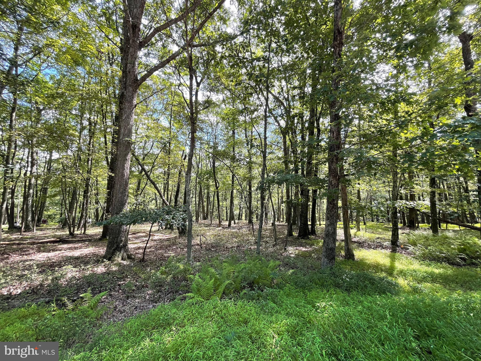 117 Spring Mountain Drive Zion Grove, PA 17985 - Photo 2 of 19 a view of park space