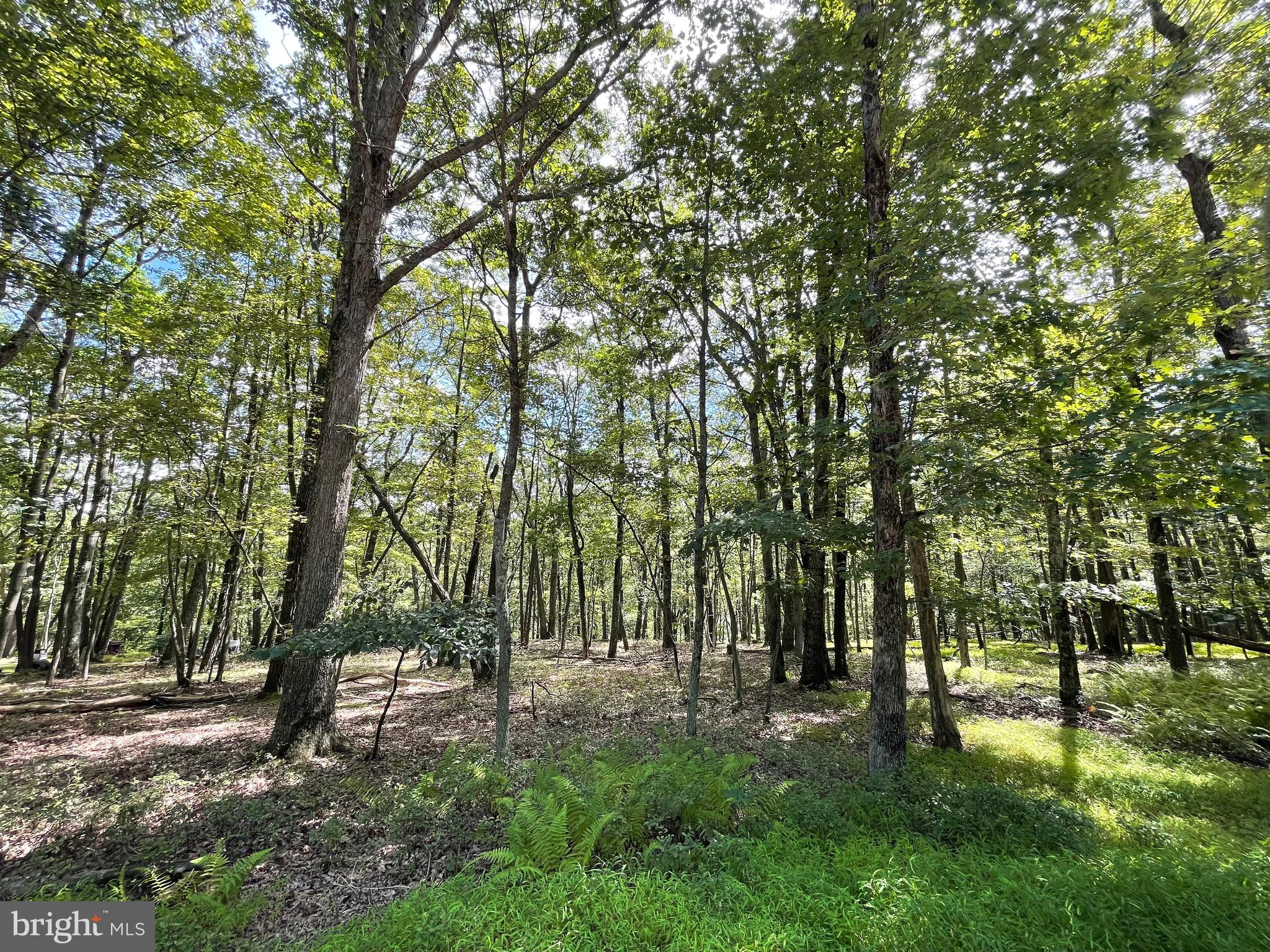 117 Spring Mountain Drive Zion Grove, PA 17985 - Photo 3 of 19 a view of outdoor space and yard