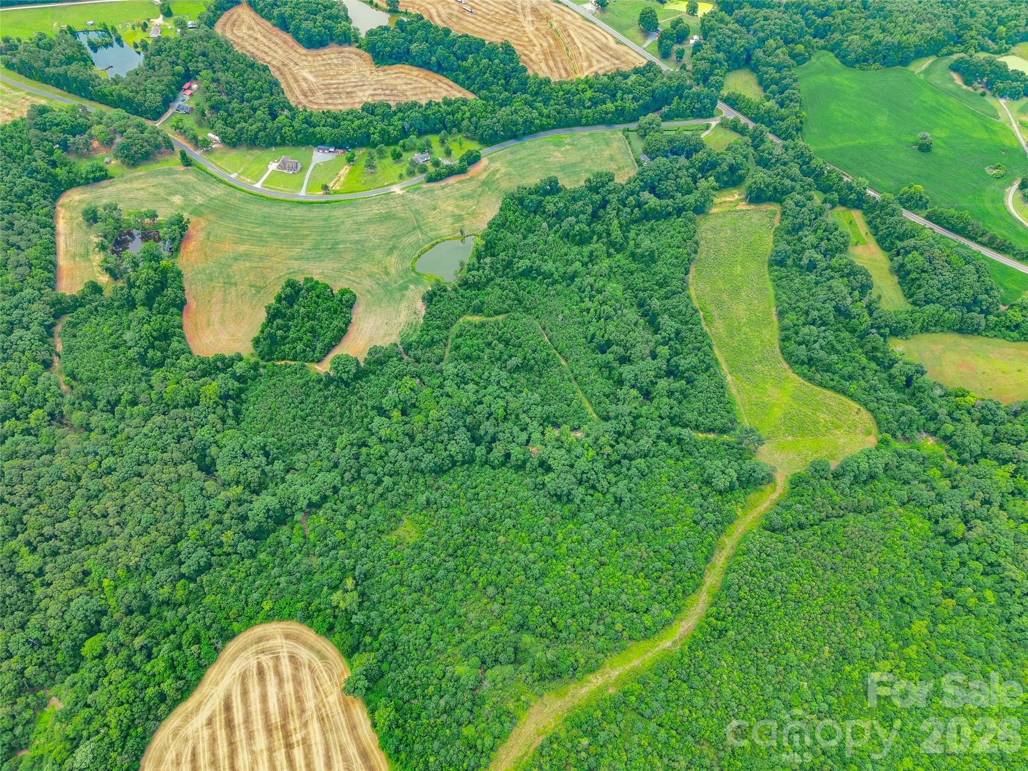 0 John Doster Road Pageland, SC 29728 - Photo 11 of 12