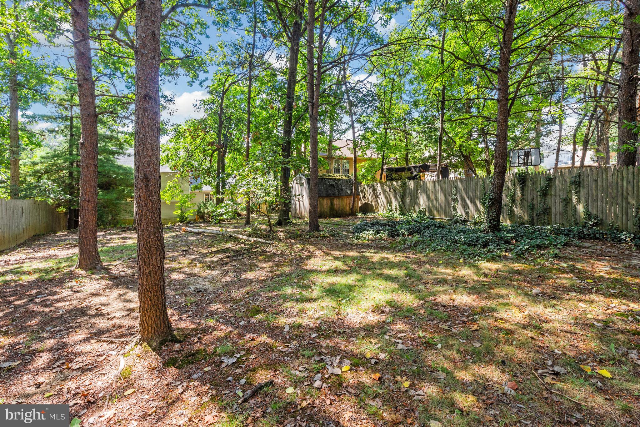 7040 Johnnycake Road Catonsville, MD 21228 - Photo 30 of 34 And some more!