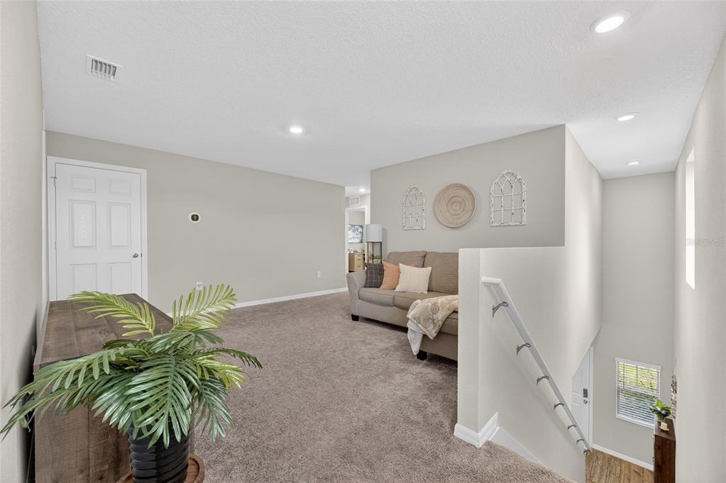 12908 Hawkstone Trail Boulevard Lithia, FL 33547 - Photo 19 of 76 a living room with furniture and a potted plant