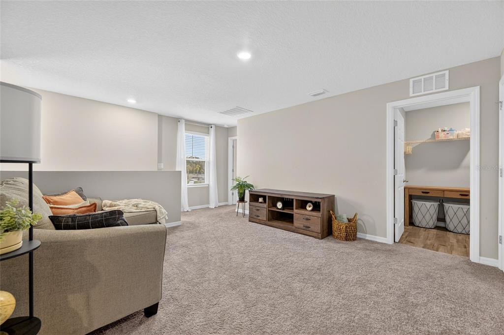 12908 Hawkstone Trail Boulevard Lithia, FL 33547 - Photo 21 of 76