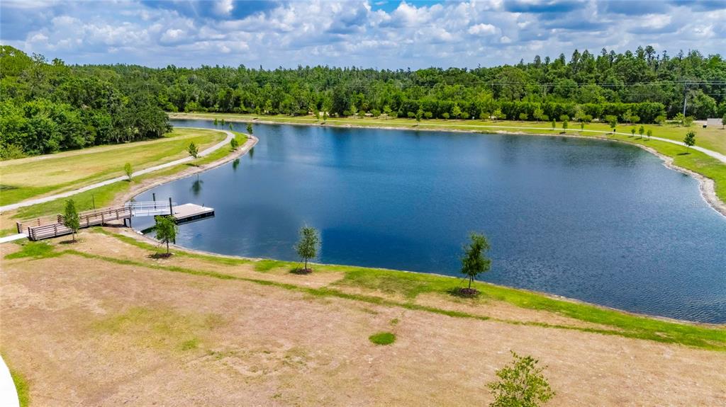 12908 Hawkstone Trail Boulevard Lithia, FL 33547 - Photo 60 of 76 a view of a swimming pool with a bench and trees in the background