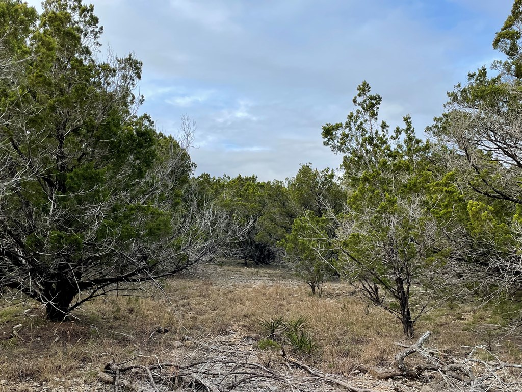 1490 Red Rock Road, Unit 49 Blanco, TX 78606 - Photo 8 of 11