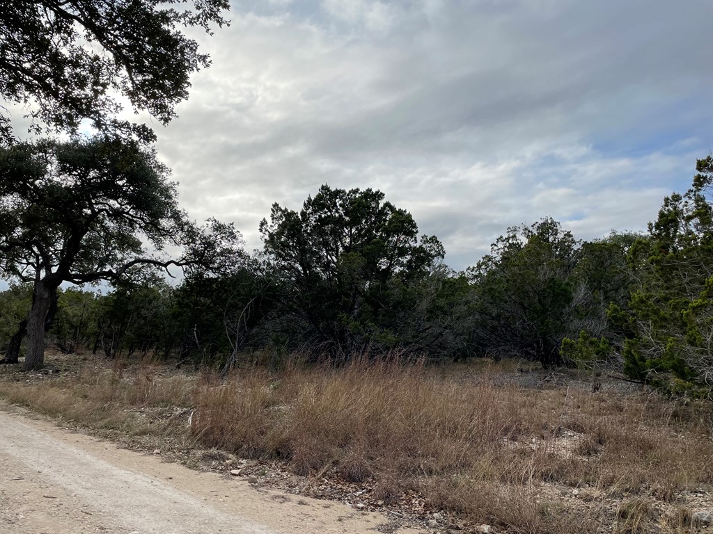 1490 Red Rock Road, Unit 49 Blanco, TX 78606 - Photo 9 of 11