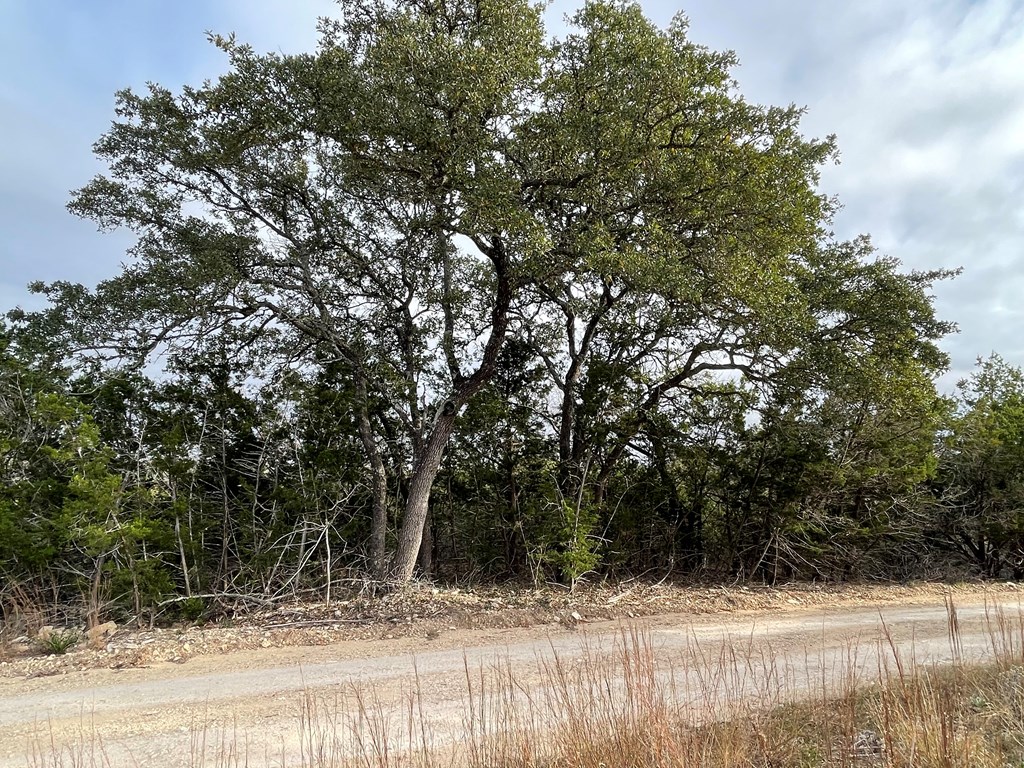 1490 Red Rock Road, Unit 49 Blanco, TX 78606 - Photo 10 of 11