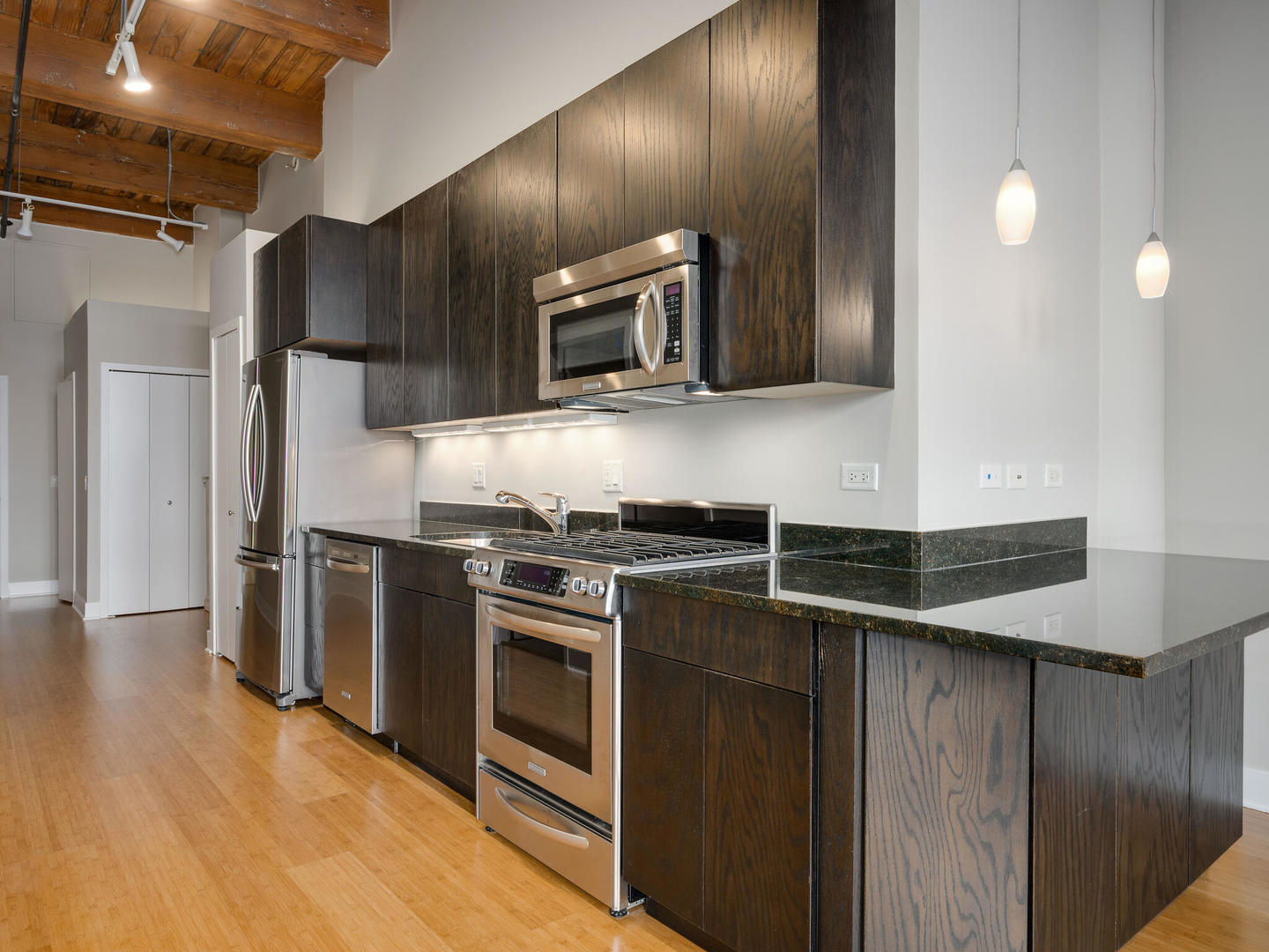 2303 South Michigan Avenue, Unit 305 Chicago, IL 60616 - Photo 12 of 22 a kitchen with stainless steel appliances granite countertop a sink and stove top oven