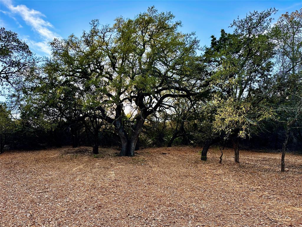 3575 Fm Jonesboro, TX 76538 - Photo 11 of 33 a view of outdoor space