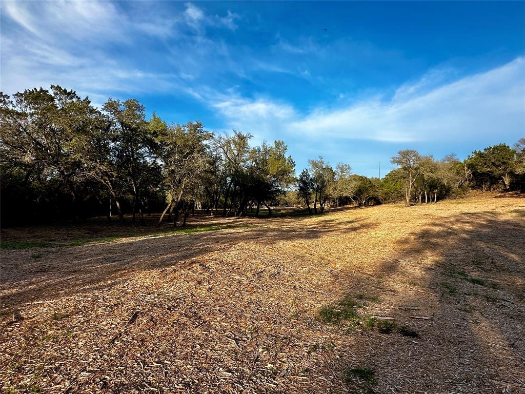3575 Fm Jonesboro, TX 76538 - Photo 12 of 33 a view of dirt yard with a large tree