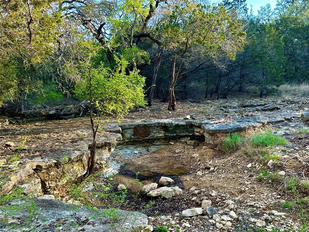 3575 Fm Jonesboro, TX 76538 - Photo 15 of 33 a backyard of a house with lots of green space