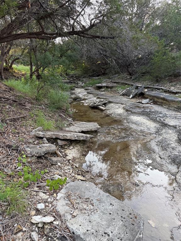 3575 Fm Jonesboro, TX 76538 - Photo 18 of 33 a view of a forest with trees
