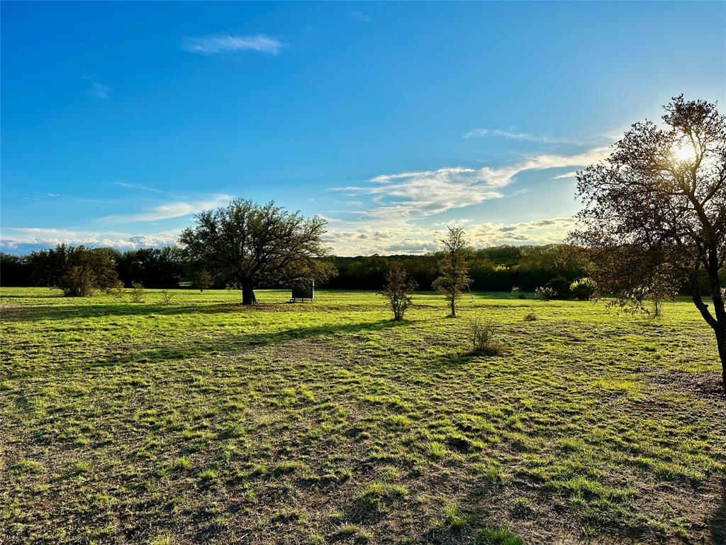 3575 Fm Jonesboro, TX 76538 - Photo 23 of 33 a view of a green field