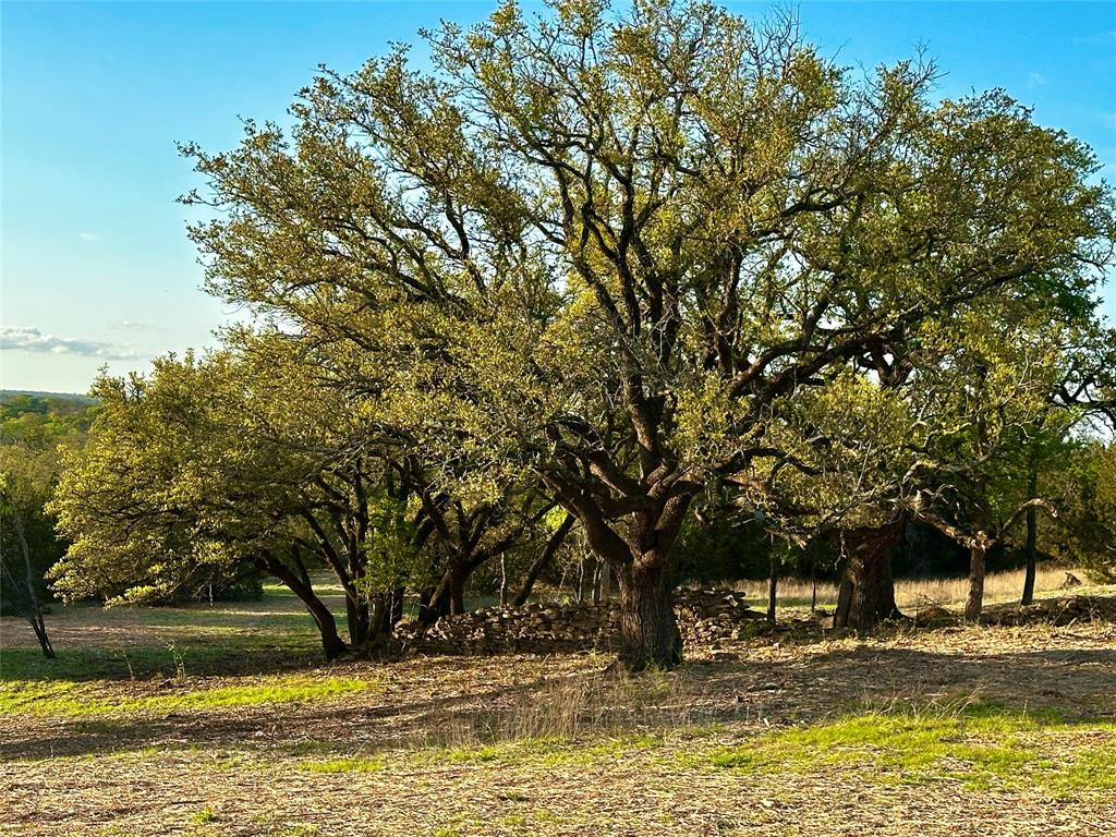 3575 Fm Jonesboro, TX 76538 - Photo 25 of 33 a view of a lake view