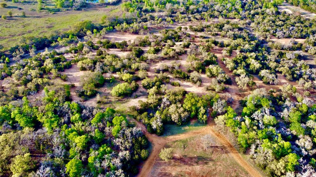 3575 Fm Jonesboro, TX 76538 - Photo 4 of 33