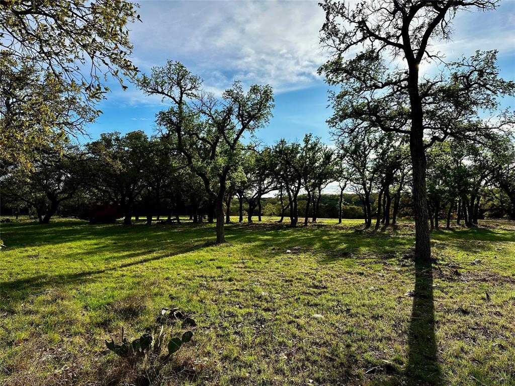 3575 Fm Jonesboro, TX 76538 - Photo 7 of 33 a view of a yard with large trees