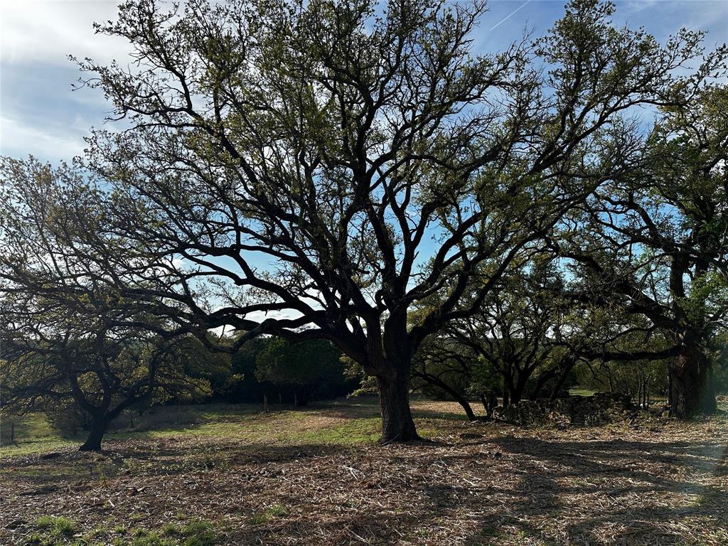 3575 Fm Jonesboro, TX 76538 - Photo 8 of 33 a view of outdoor space with yard