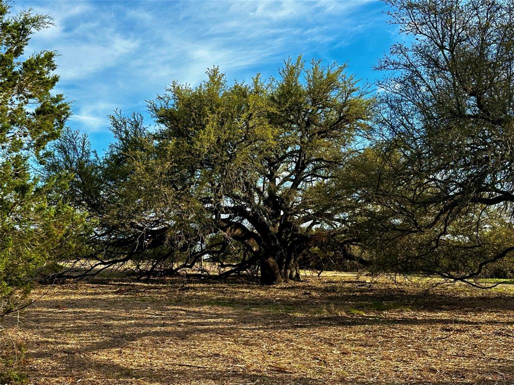 3575 Fm Jonesboro, TX 76538 - Photo 9 of 33