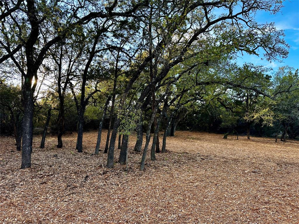 3575 Fm Jonesboro, TX 76538 - Photo 10 of 33 a view of a yard with a tree
