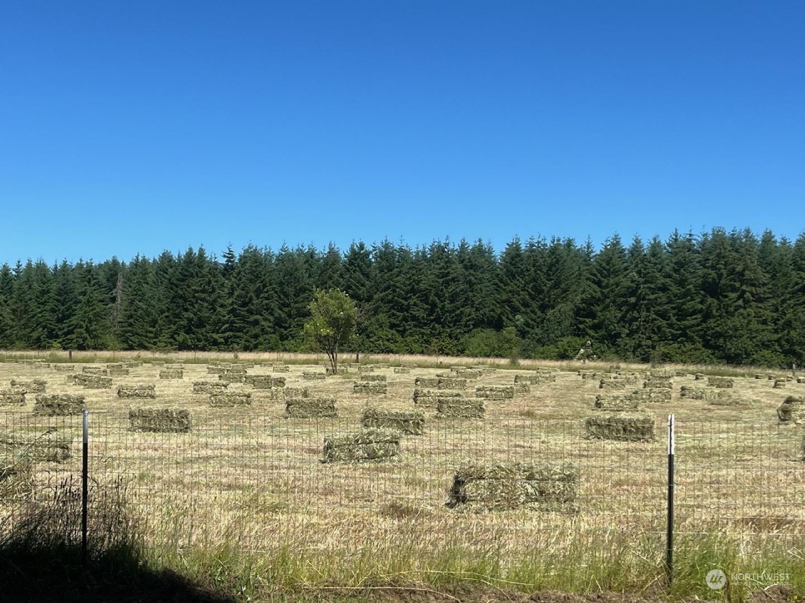 592 North Military Road Winlock, WA 98596 - Photo 19 of 21 a view of a lake view