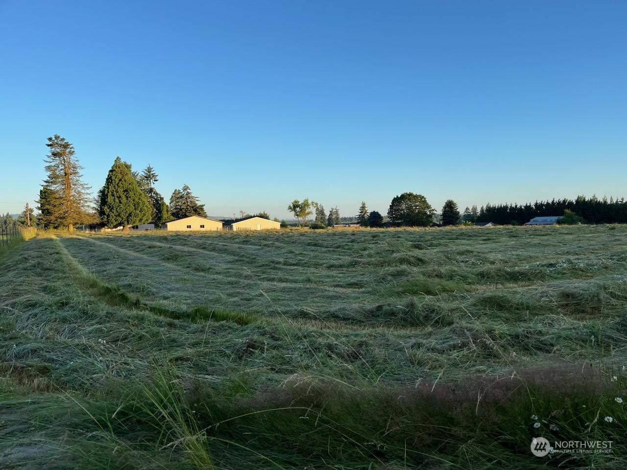 592 North Military Road Winlock, WA 98596 - Photo 21 of 21 a view of a grassy area with an trees