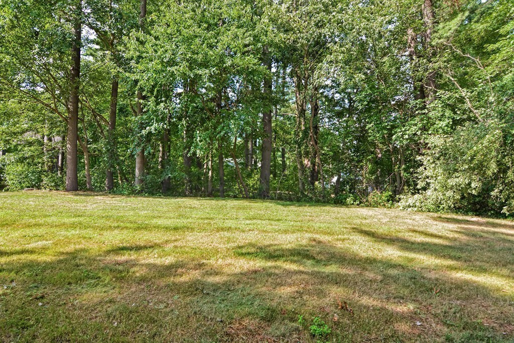 129 Dover Road, Unit 129 Millis, MA 02054 - Photo 30 of 42 Gallery Image 30