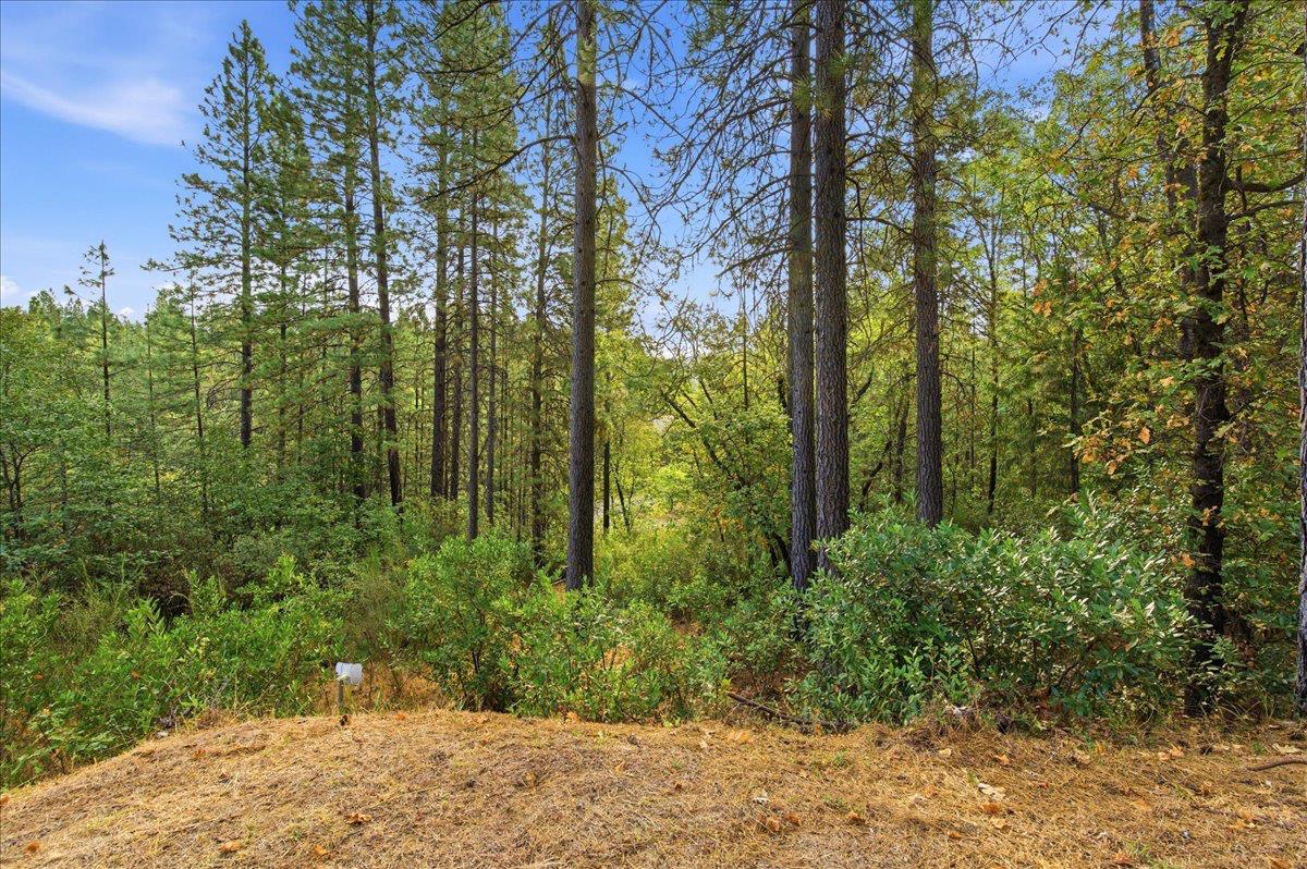 12742 Rices Crossing Road Oregon House, CA 95962 - Photo 30 of 47 Gallery Image 30