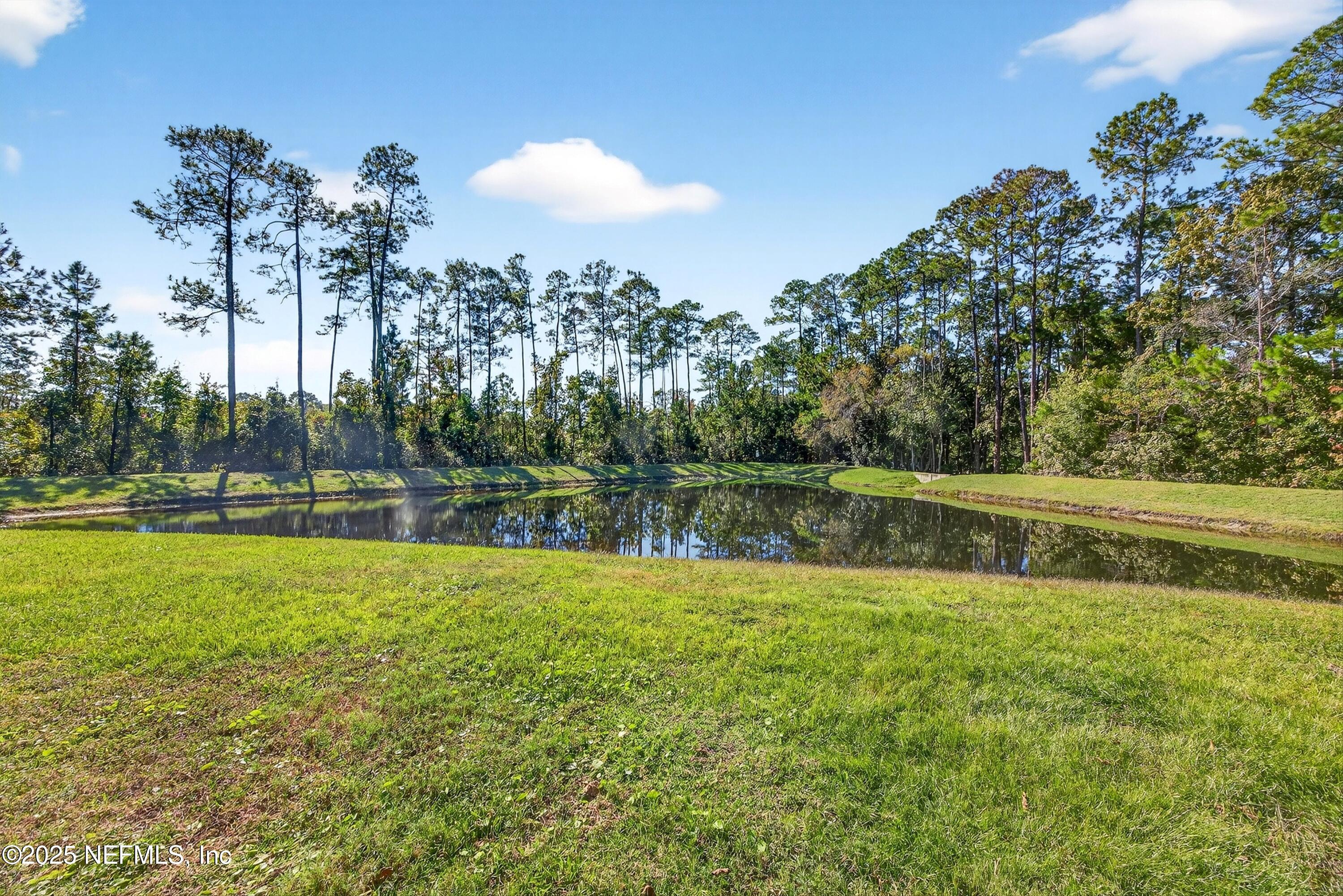 321 Addison Court St. Johns, FL 32259 - Photo 37 of 50 Pond View