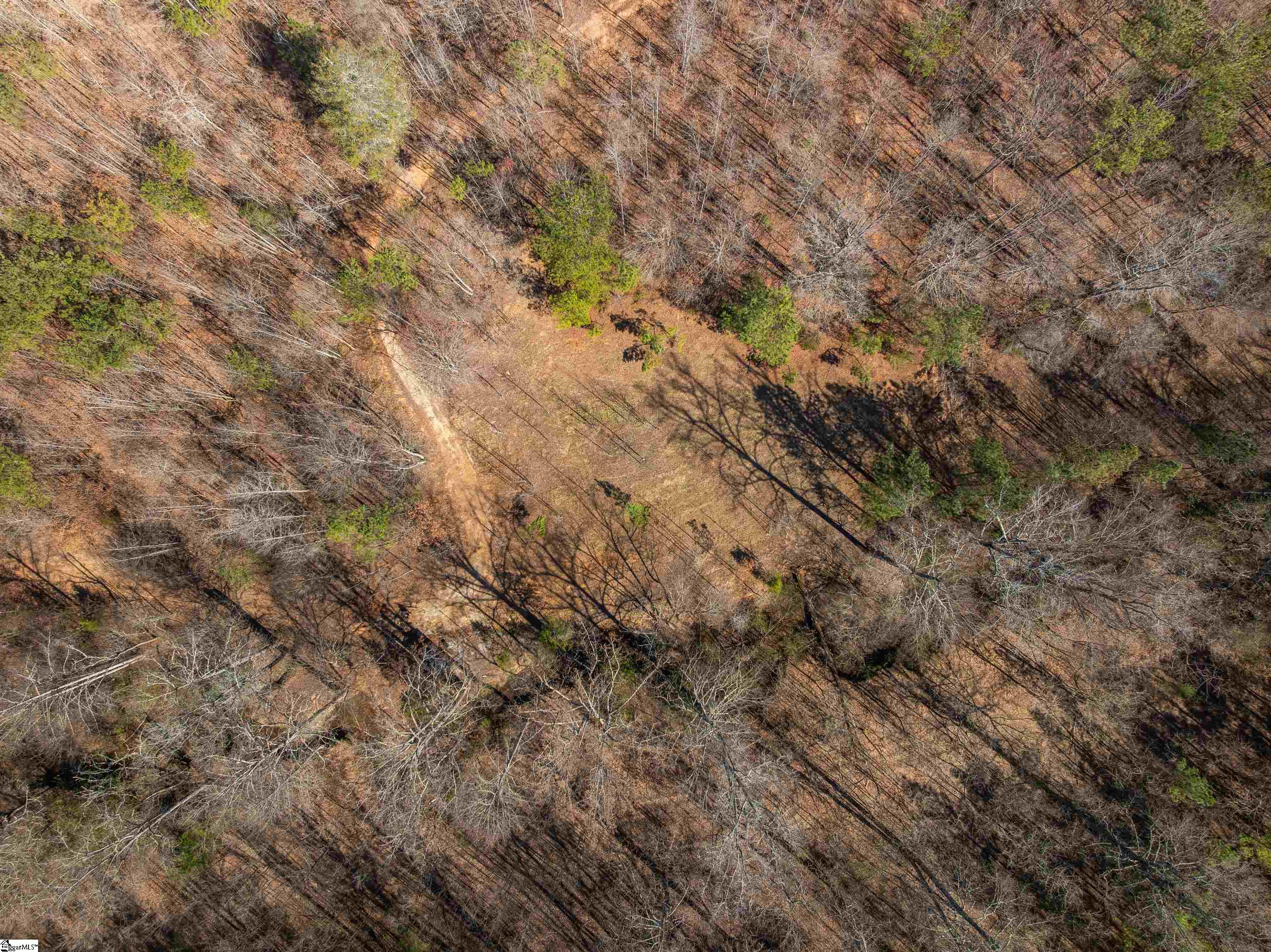 0 Crowe Creek Road, Unit LOT D Six Mile, SC 29682 - Photo 12 of 25