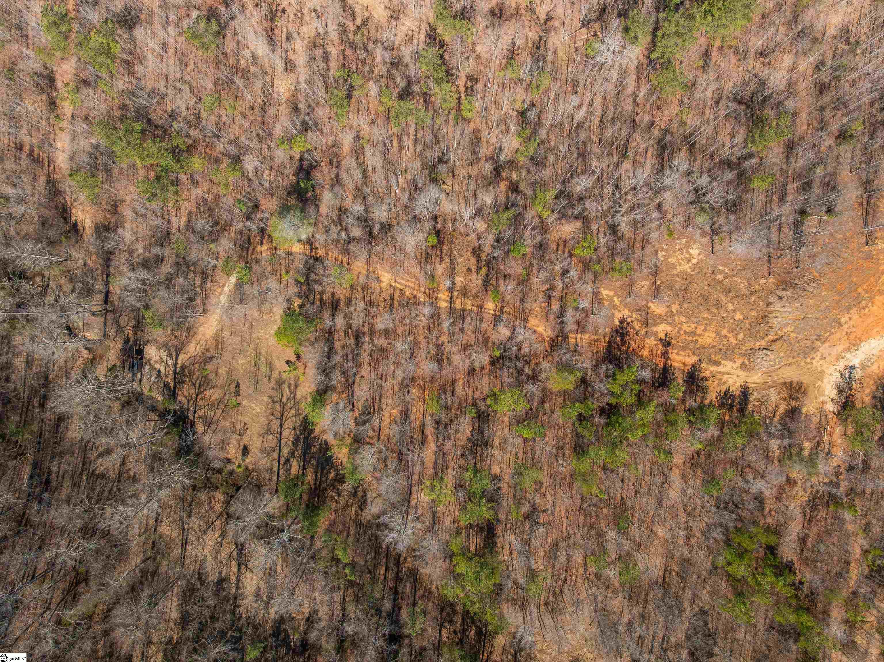 0 Crowe Creek Road, Unit LOT D Six Mile, SC 29682 - Photo 13 of 25