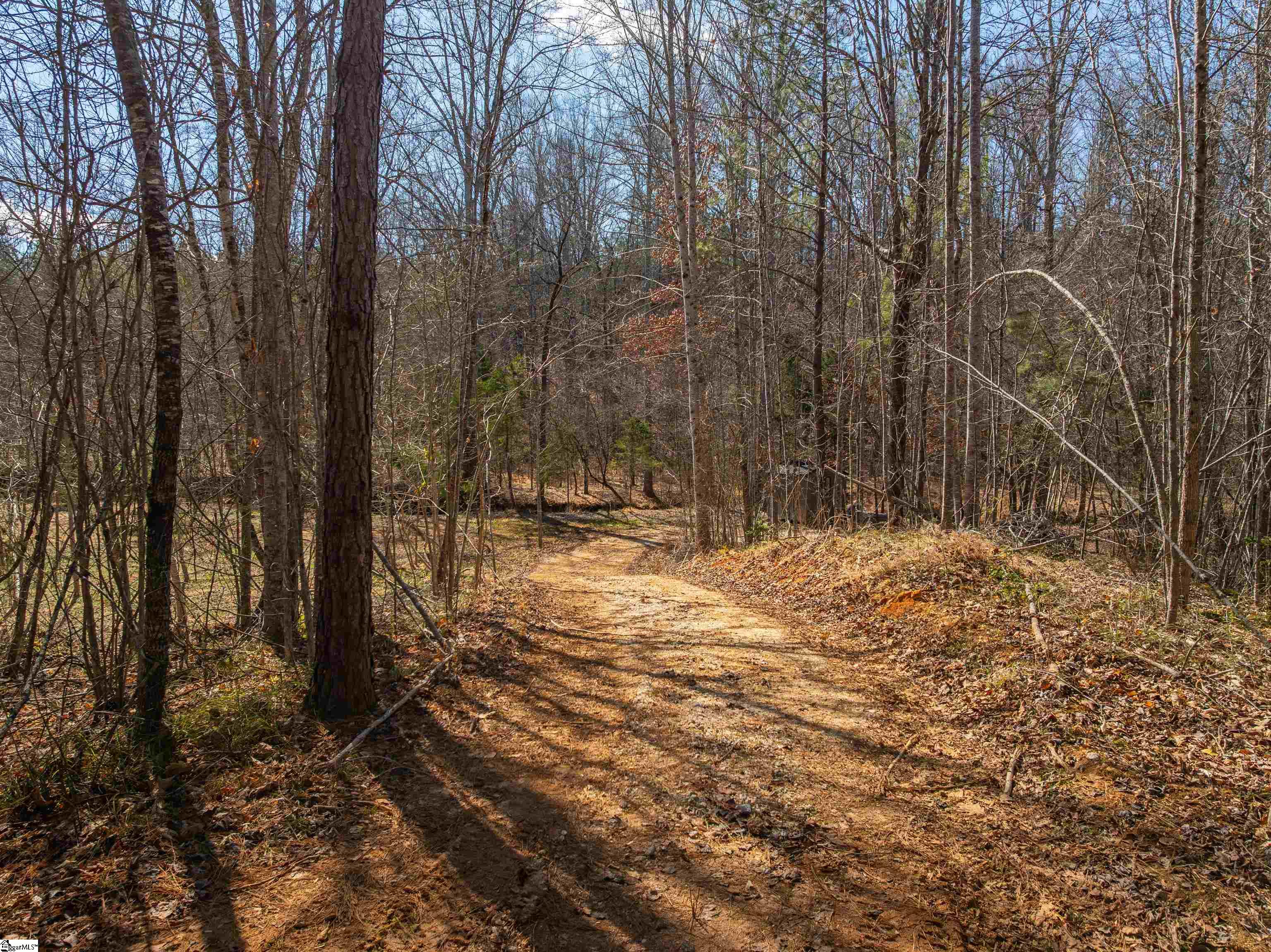 0 Crowe Creek Road, Unit LOT D Six Mile, SC 29682 - Photo 14 of 25